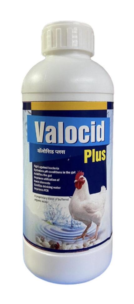 VALOCID PLUS