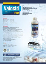 VALOCID PLUS