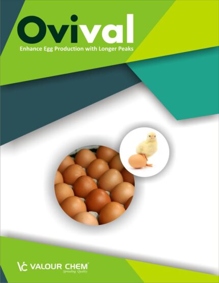 OVIVAL